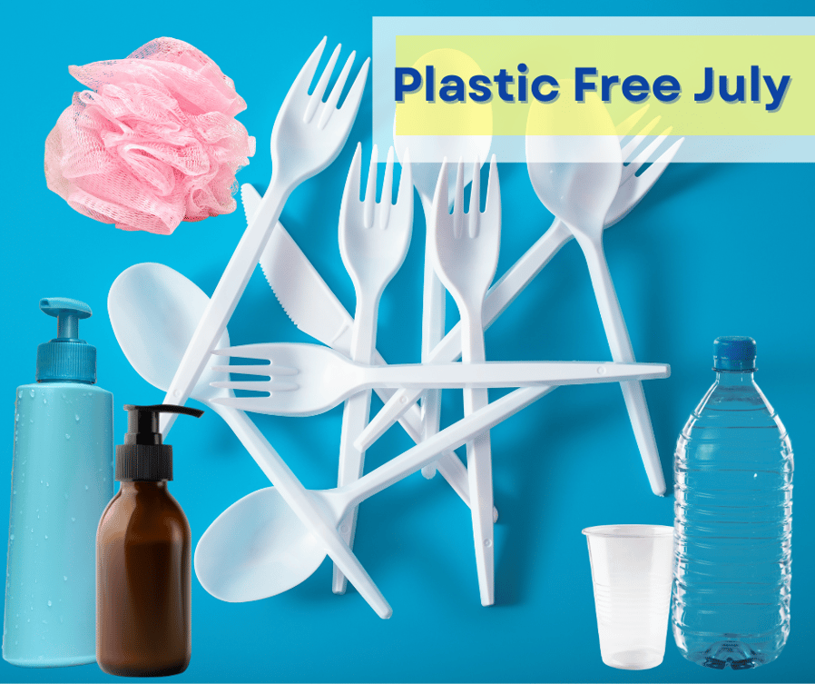 How Does Plastic Free July Relate to Aid?